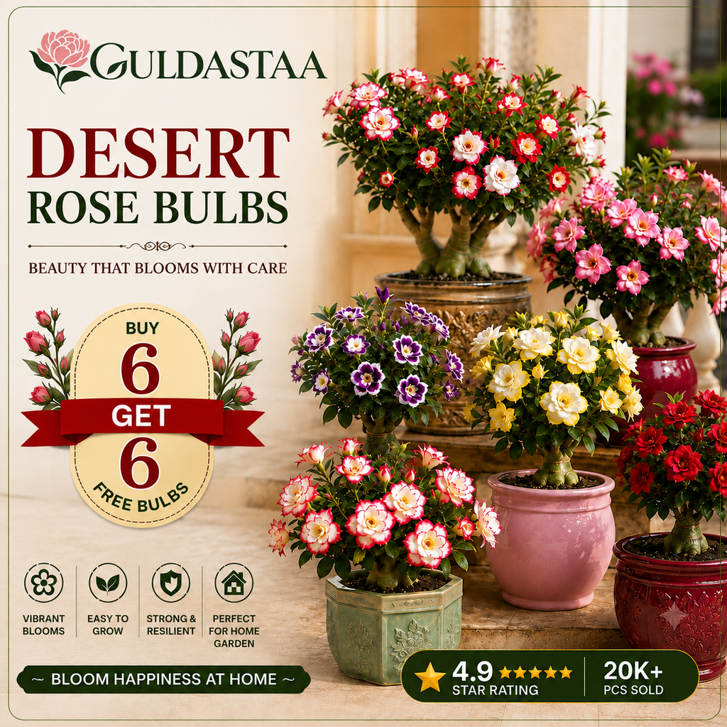 🥰HOT SALE 49% OFF🥰 🌵🌺DESERT ROSE BULBS🔥Buy 6 Get 6 Free Bulbs🔥
