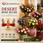 🥰HOT SALE 49% OFF🥰 🌵🌺DESERT ROSE BULBS🔥Buy 6 Get 6 Free Bulbs🔥
