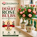 🥰HOT SALE 49% OFF🥰 🌵🌺DESERT ROSE BULBS🔥Buy 6 Get 6 Free Bulbs🔥