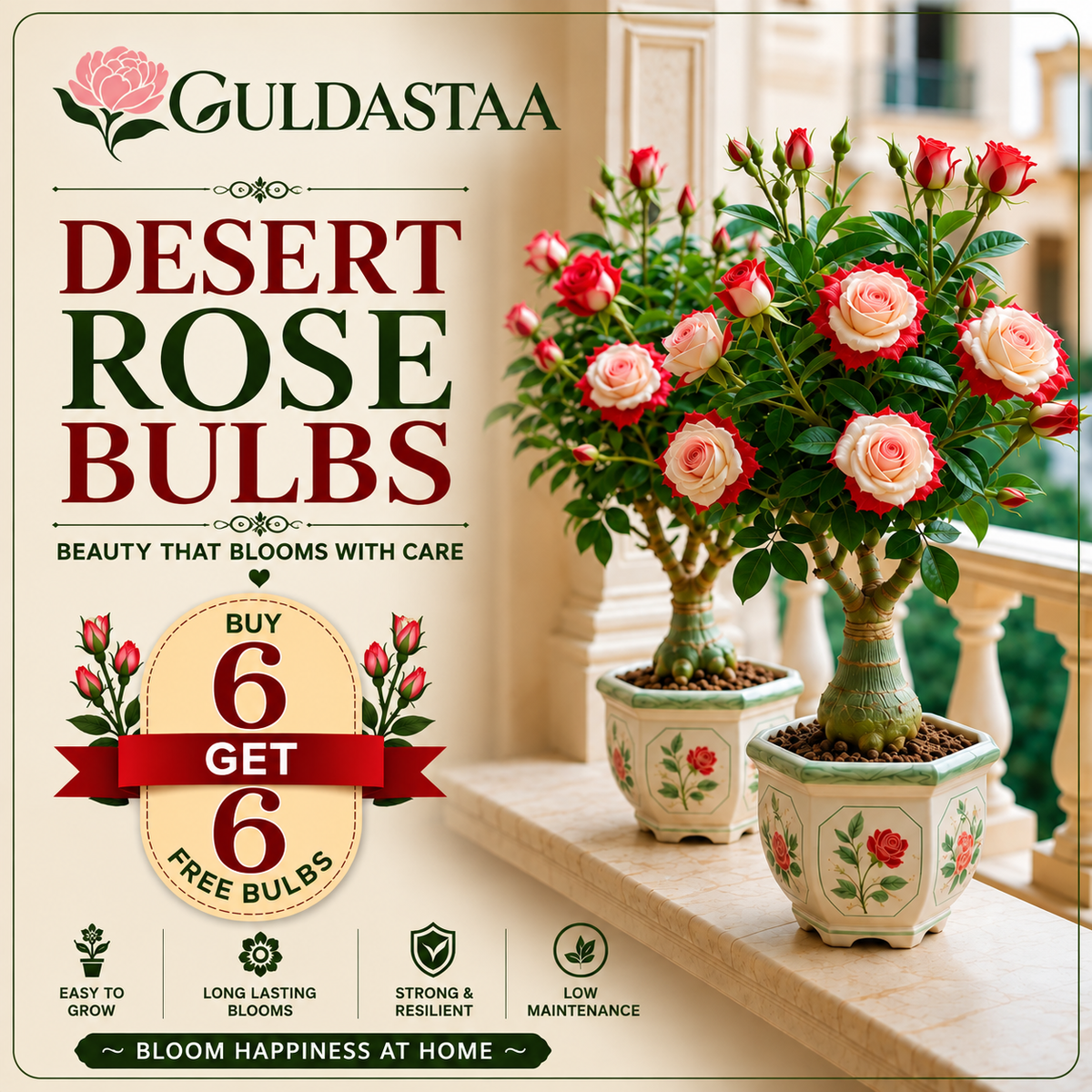 🥰HOT SALE 49% OFF🥰 🌵🌺DESERT ROSE BULBS🔥Buy 6 Get 6 Free Bulbs🔥