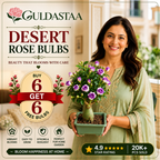 🥰HOT SALE 49% OFF🥰 🌵🌺DESERT ROSE BULBS🔥Buy 6 Get 6 Free Bulbs🔥